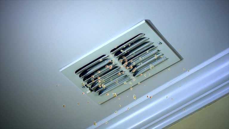 Air Duct Mold Removal in Little Ferry, NJ