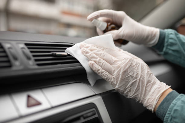 Best Air Duct Mold Removal  in Little Ferry, NJ