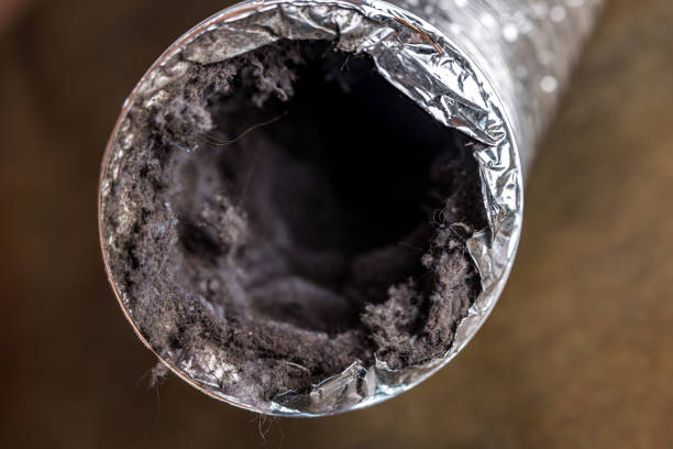 Best Affordable Duct Cleaning Services  in Little Ferry, NJ
